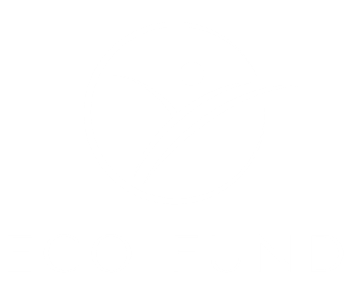 Economic Foundations